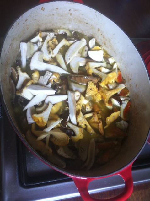 veau aux cèpes ,amanite de CESAr et girolles , ouff