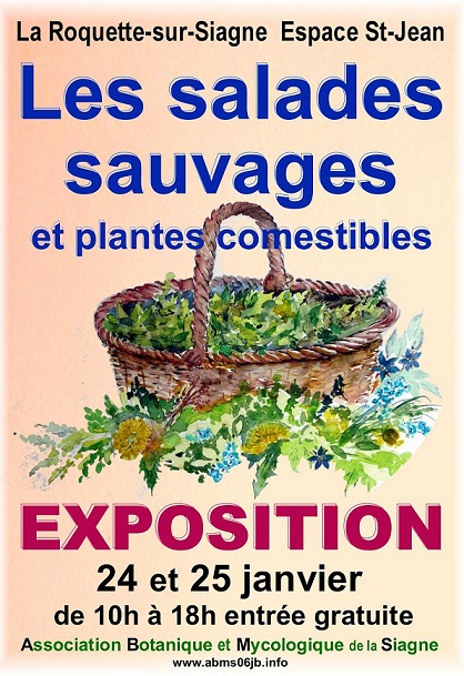 affiche_salades_2015.JPG