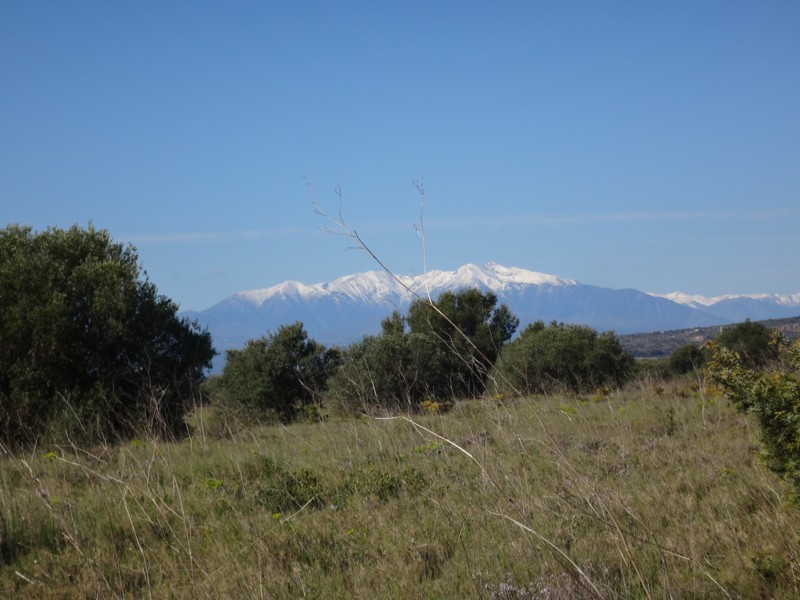 02-Canigou depuis Rivesaltes.JPG