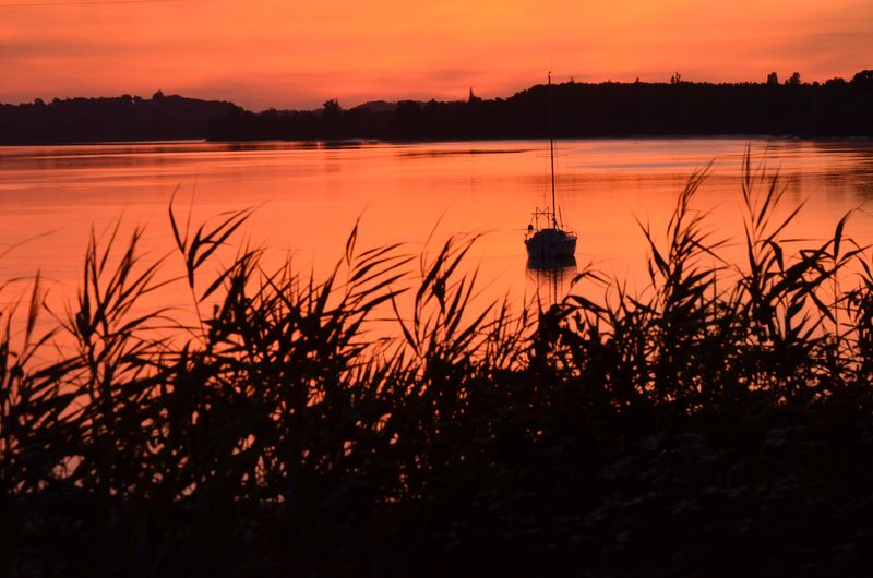 levée du jour sur la Dordogne un peu en amont de Bordeaux.JPG