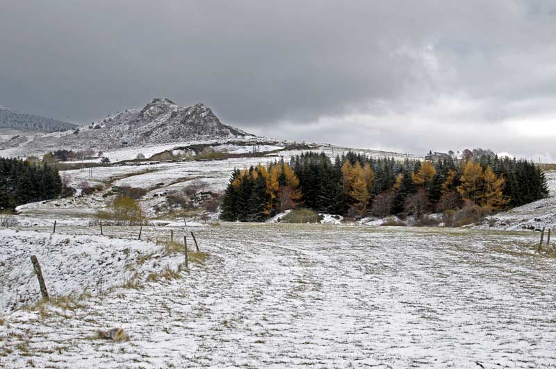 43-Automne-Hiver-Revenez-Les-Estable.jpg