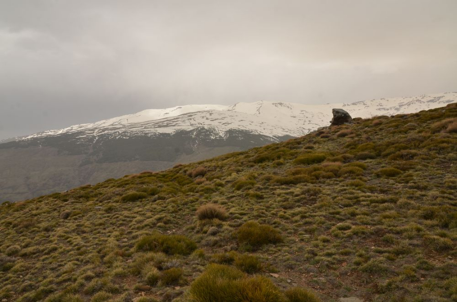 Sierra Nevada.JPG