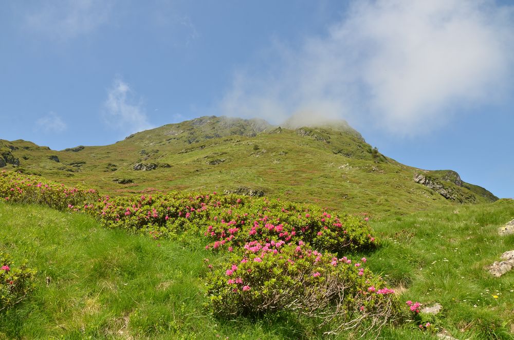 En montant vers le lac d'Eychelle.JPG