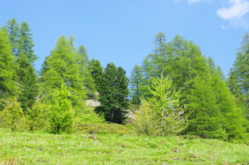 vallon de Ségure