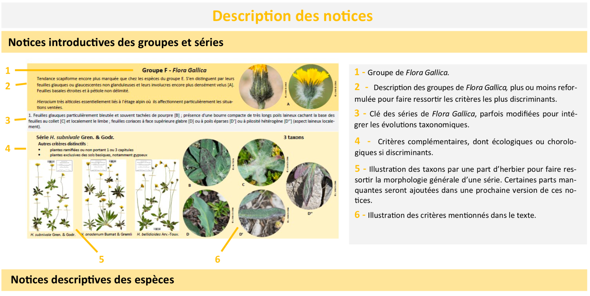 Capture d’écran 2019-06-26 à 13.01.38.png