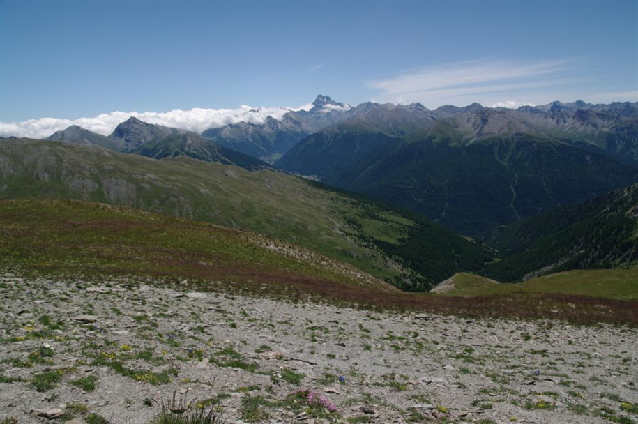 1000_Mont Viso (col du Malrif).jpg