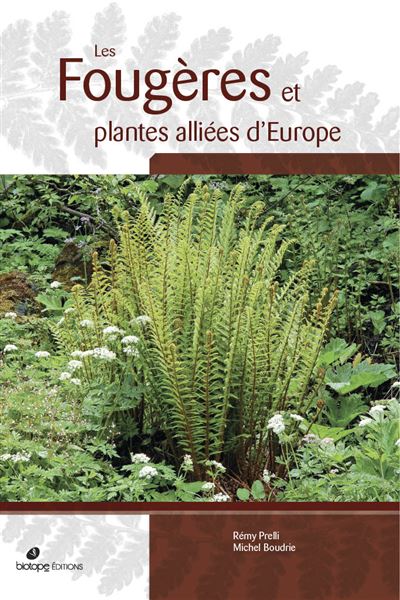Les-Fougeres-et-plantes-alliees-d-Europe.jpg
